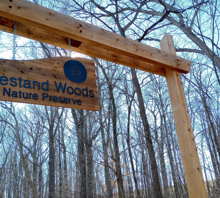 Hiestand Woods Park and Preserve (Van&nbspWert,&nbspOH)